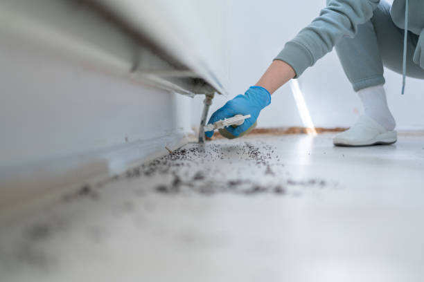 Professional Pest Control in Lebanon South, PA